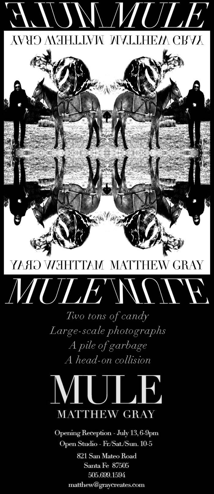 Mule Matthew Gray Art and Photography